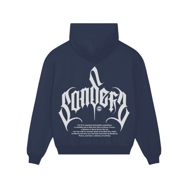 Alpalinestars oversized hoodie - Image 2